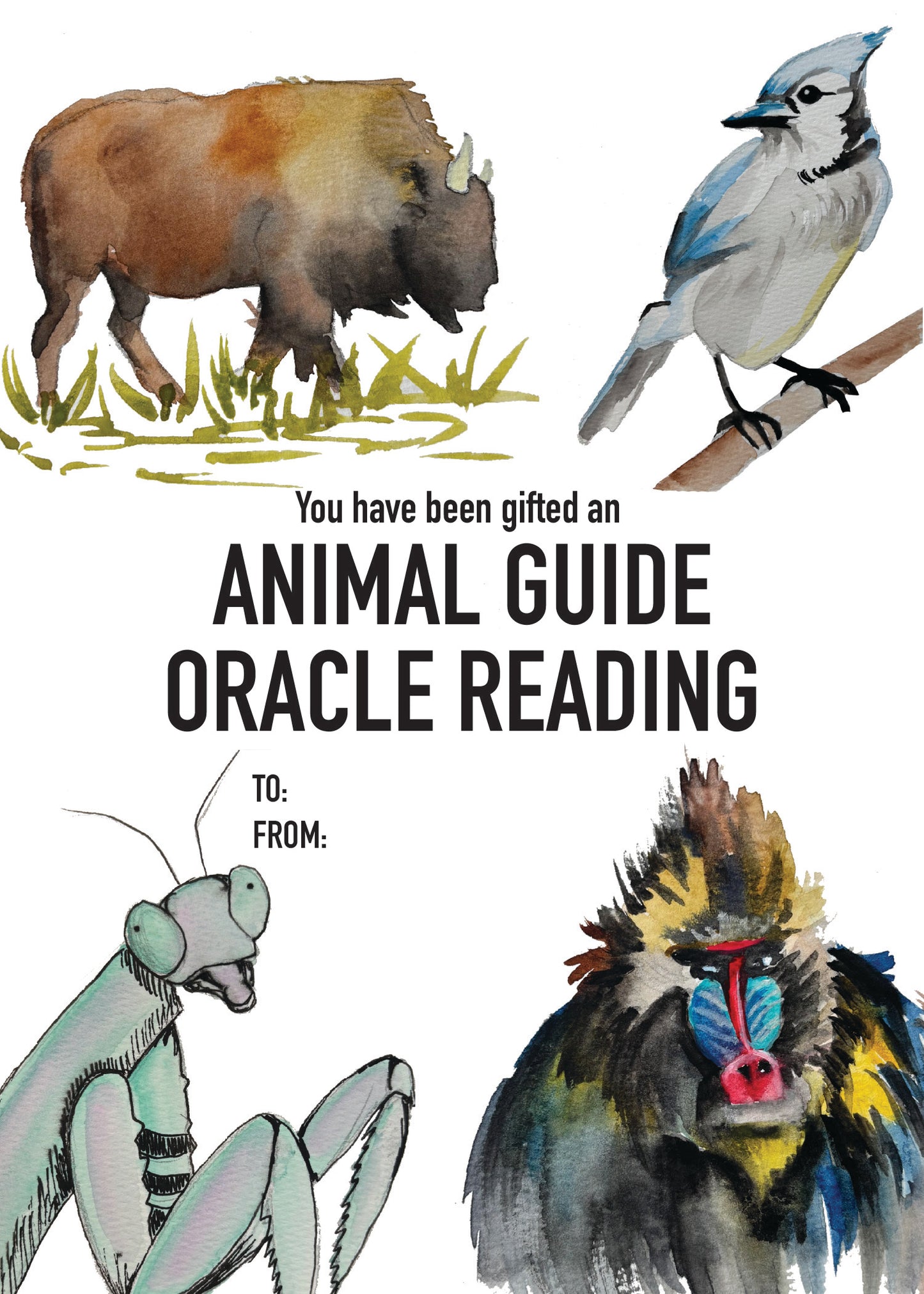 Oracle Reading GIFT CERTIFICATE