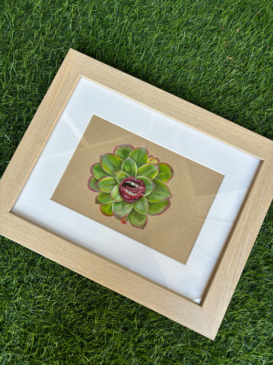Succulent — Original Artwork