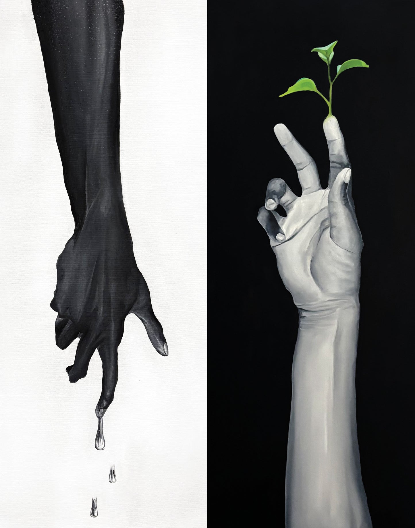 The Balance Fine Art Print