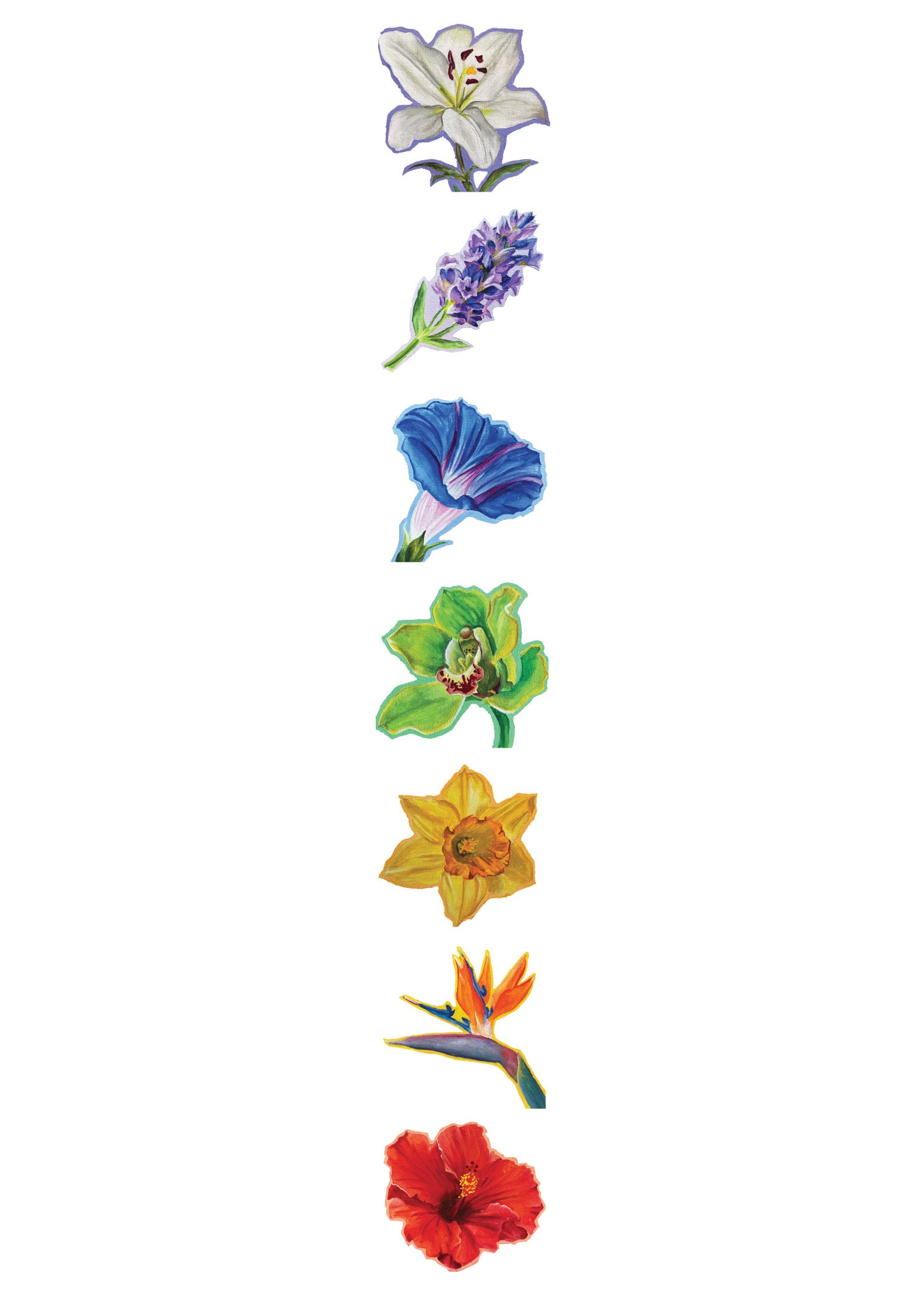 Flower Chakra Sticker Sheet