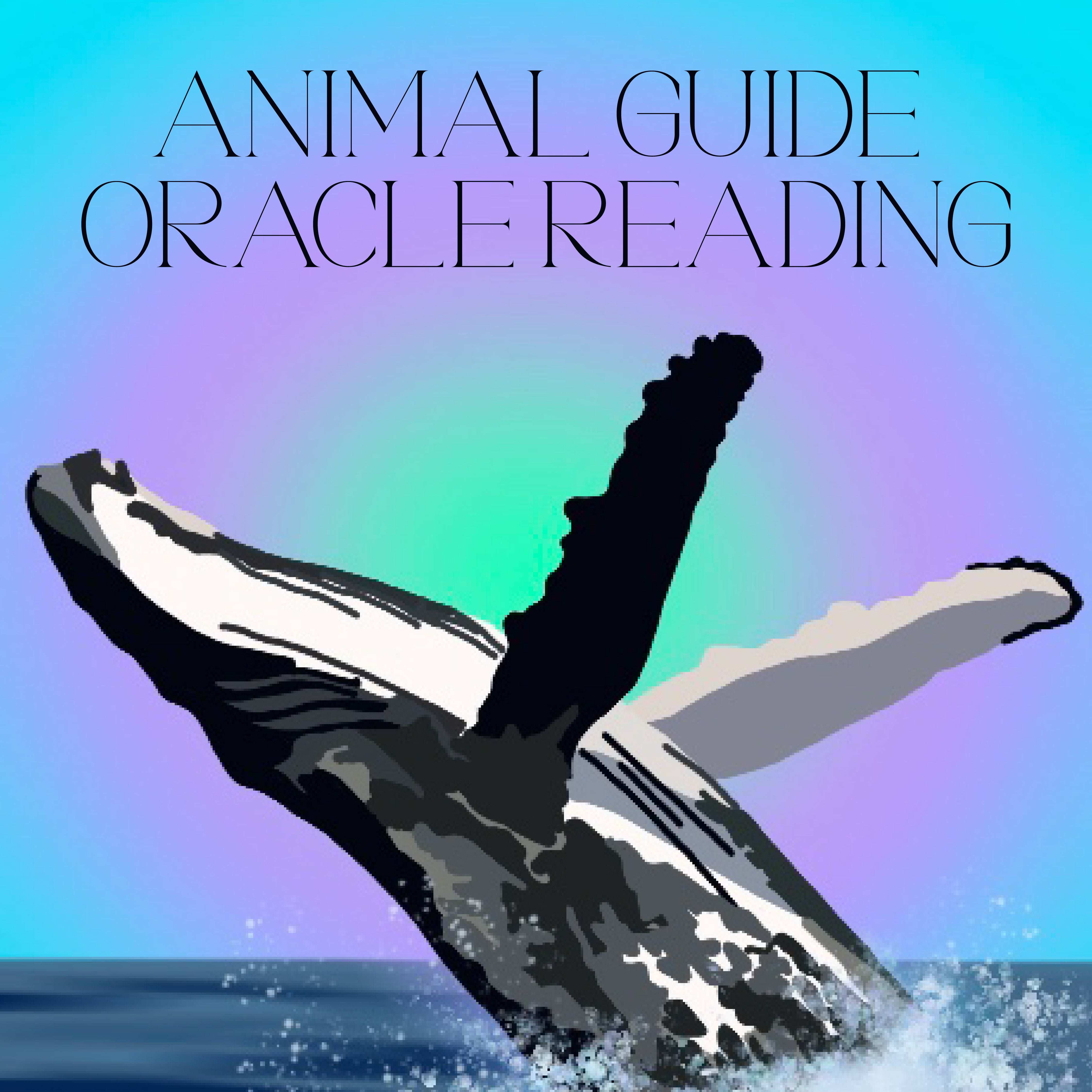 Animal Guide Oracle Reading