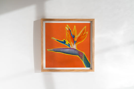 Sacral Fine Art Print