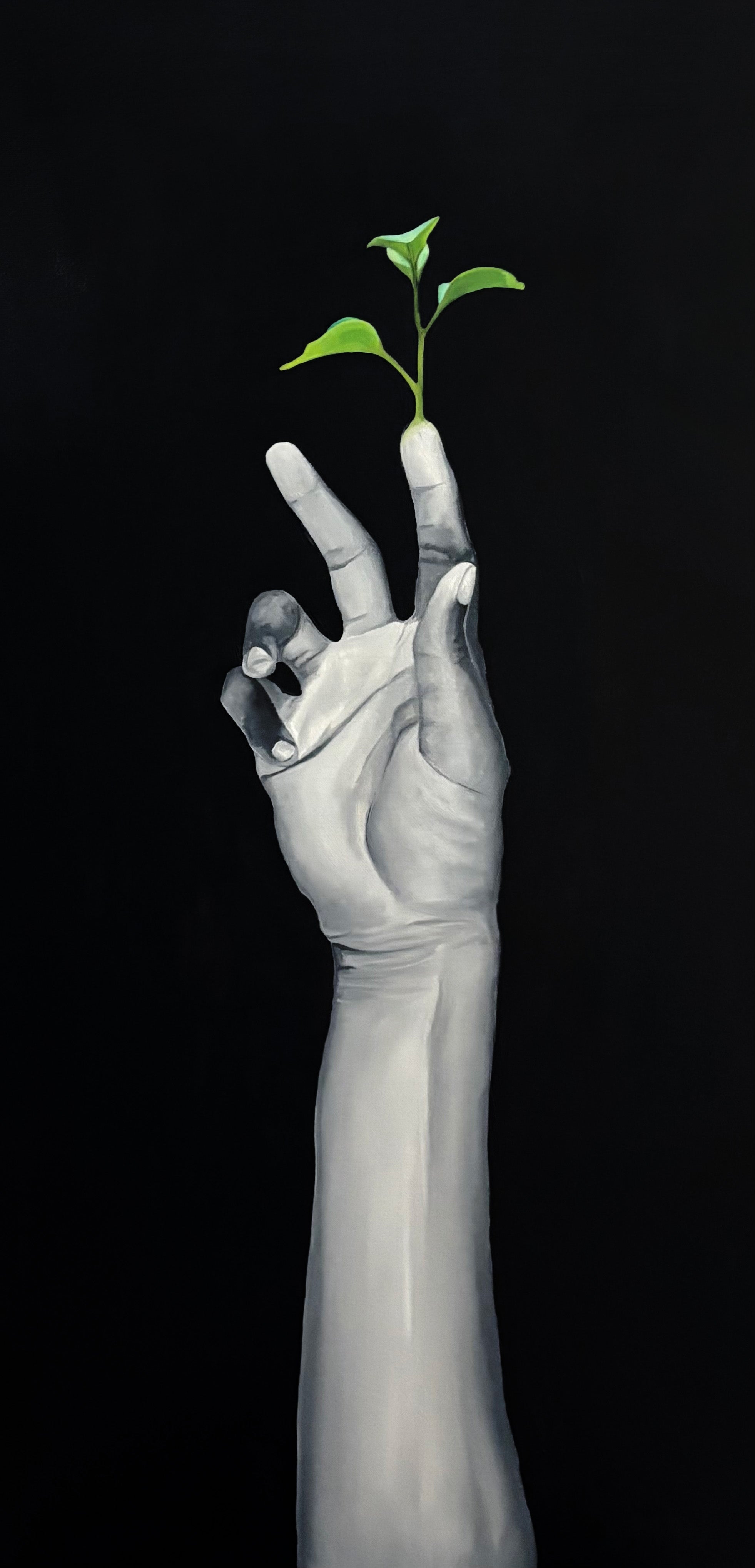 BALANCE Original Artworks